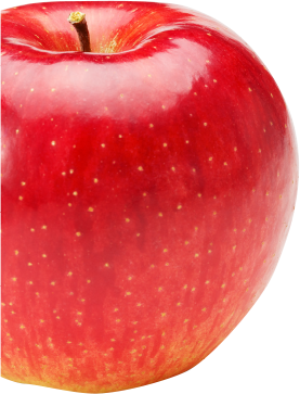 りんご　一般廃棄物